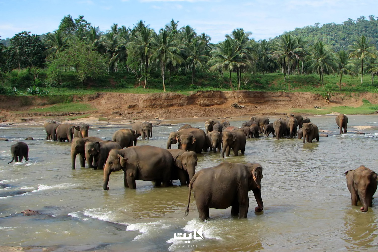 مرکز نگهداری فیل‌های پیناوالا